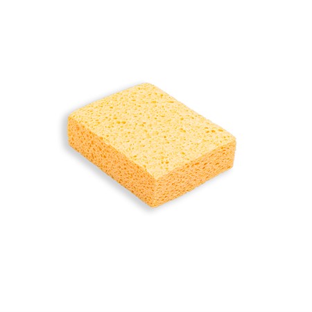 Cellulosasvamp